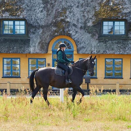 Mollegade 1 Holiday House ノーポ エクステリア 写真