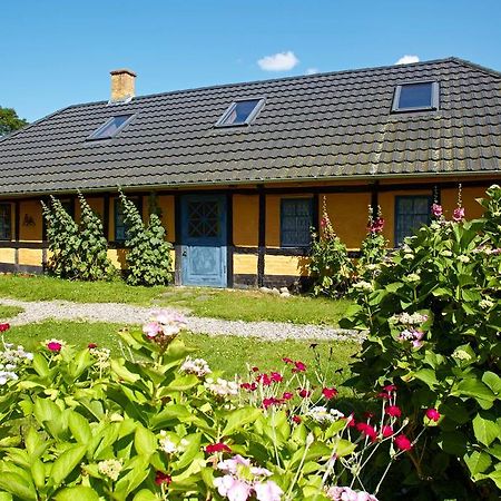 Mollegade 1 Holiday House ノーポ エクステリア 写真