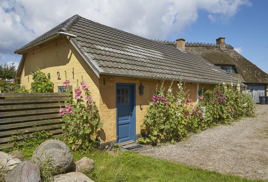Mollegade 1 Holiday House ノーポ エクステリア 写真